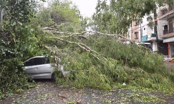 Strong Winds Cause Widespread Damage in Kashmir